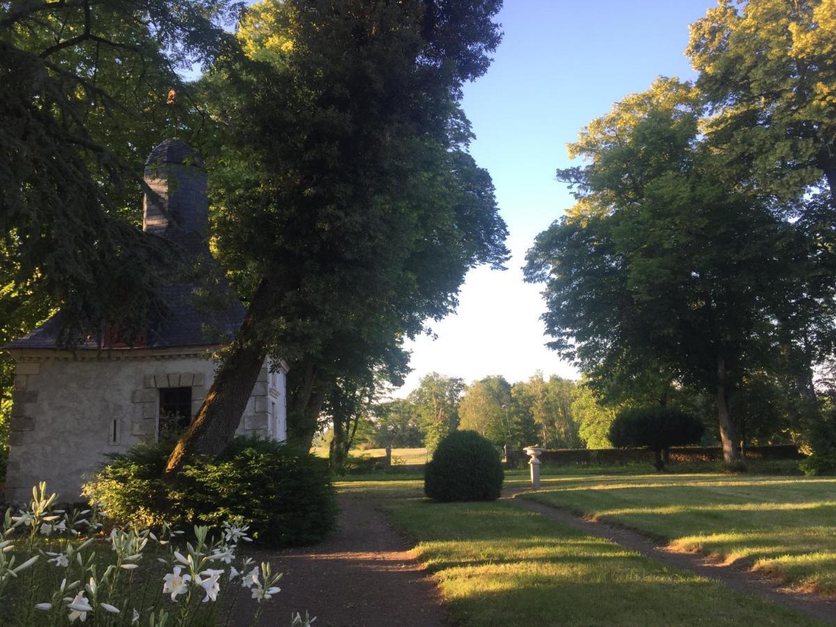 Chateau De Pintray Lussault-sur-Loire Eksteriør billede